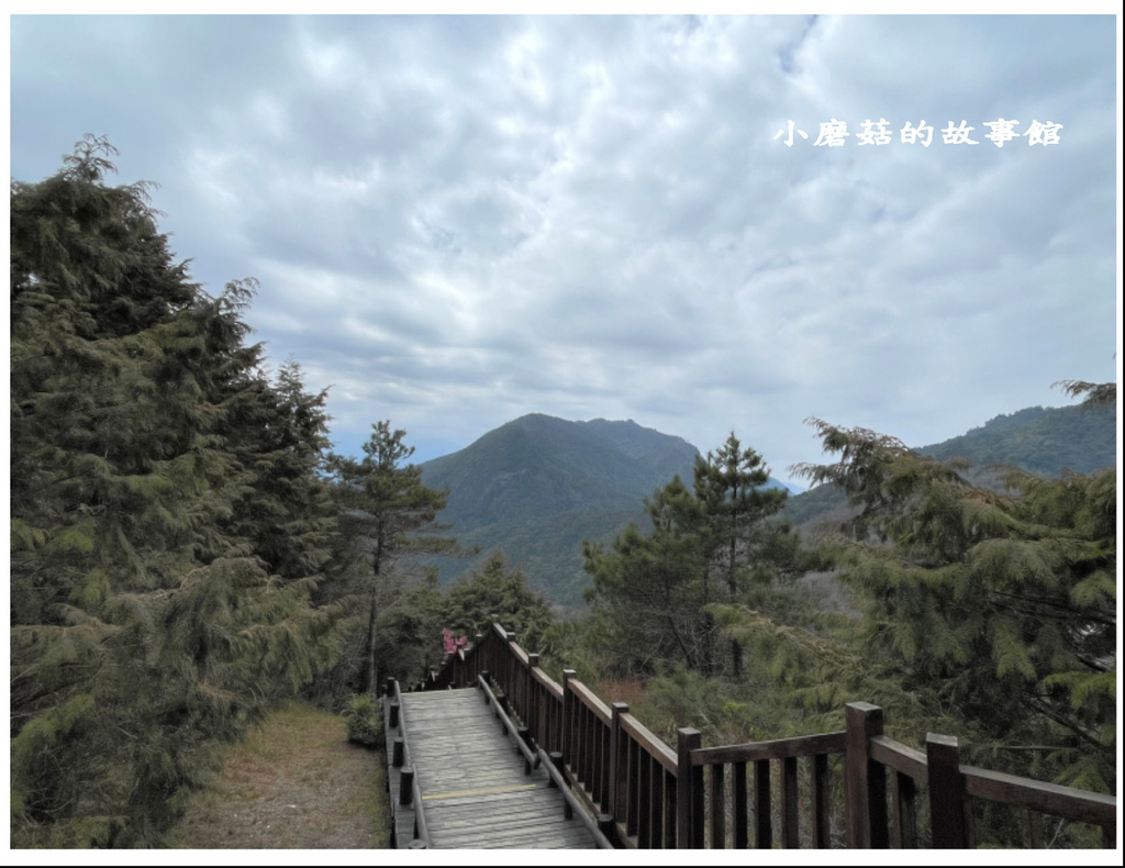 112.3.9.(40)苗栗泰安-雲霧步道.JPG