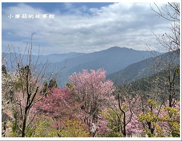 112.3.9.(19)新竹五峰-雪霸休閒農場.JPG