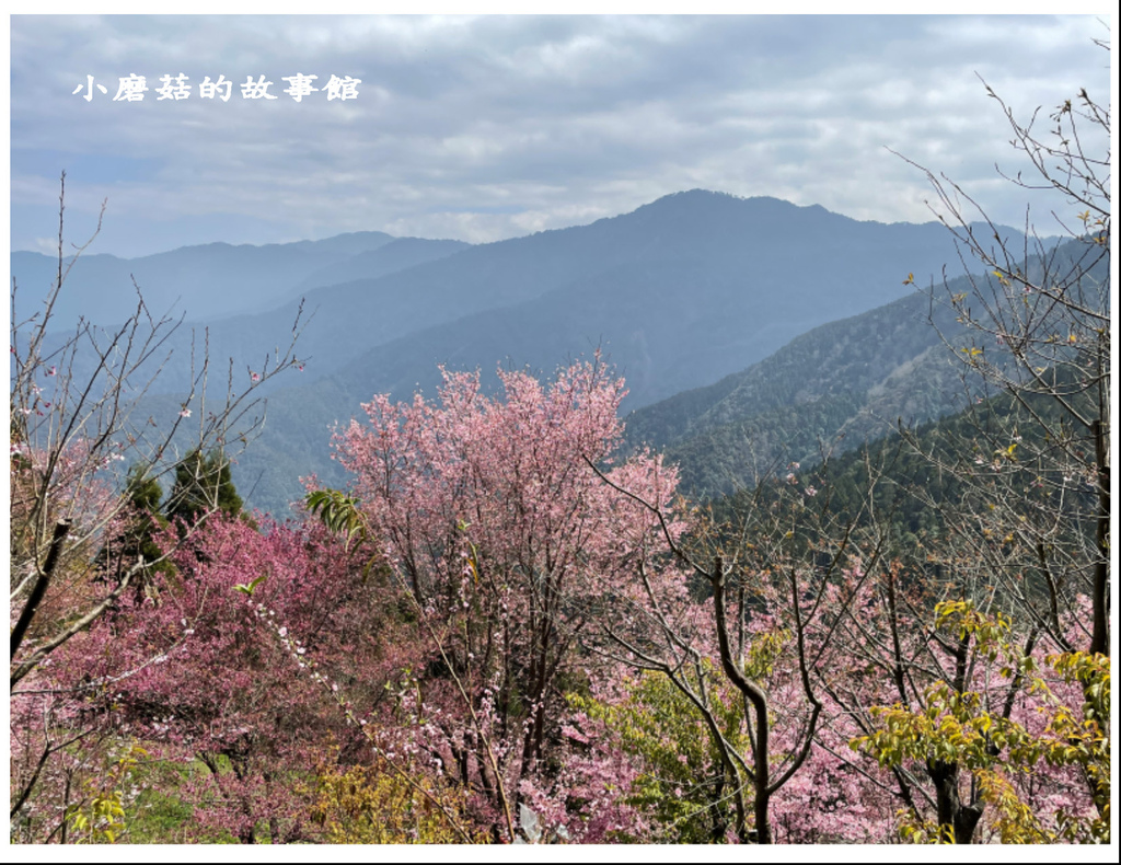 112.3.9.(21)新竹五峰-雪霸休閒農場.JPG