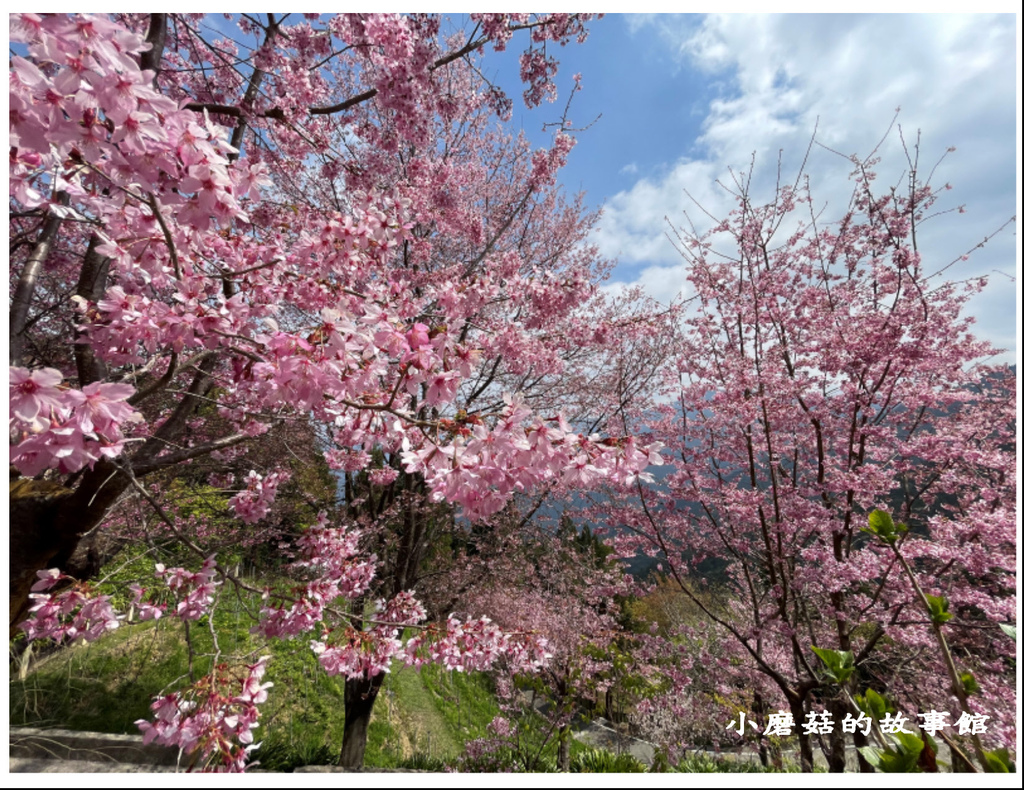 112.3.9.(58)新竹五峰-雪霸休閒農場.JPG