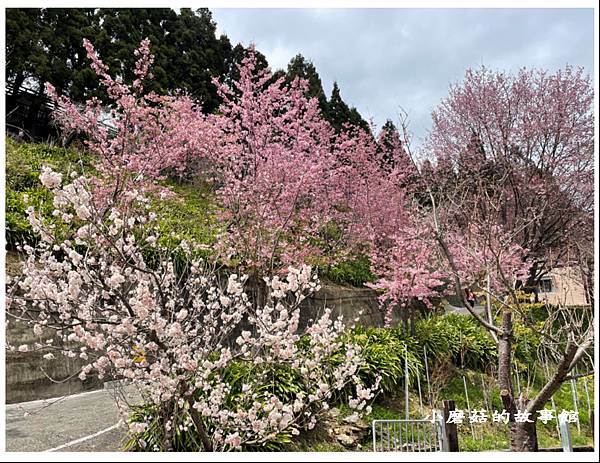 112.3.9.(67)新竹五峰-雪霸休閒農場.JPG