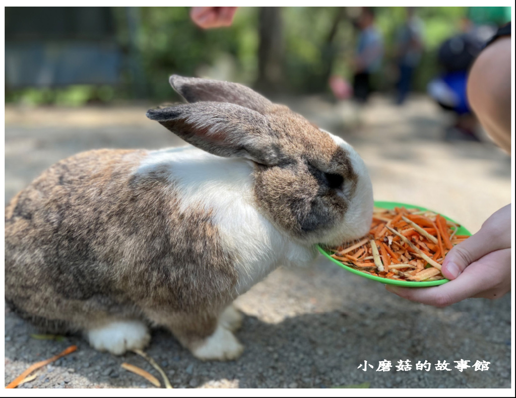 112.5.1.(29)新竹-綠世界生態農場.JPG