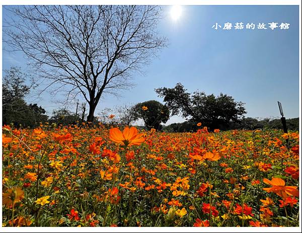 112.1.28.(91)台南-山上花園水道博物館.JPG