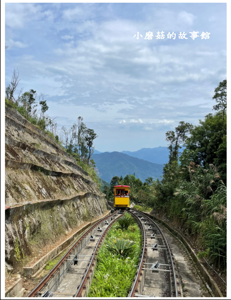 112.6.24.(35)越南峴港-巴拿山(百年酒窖+黃金佛手橋).JPG