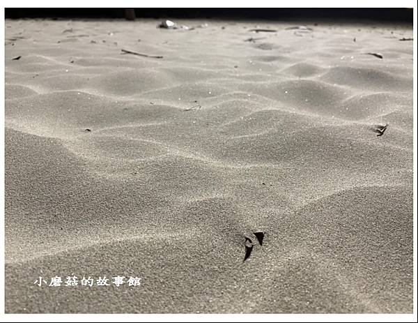 112.6.24.(2)峴港-美溪沙灘.JPG
