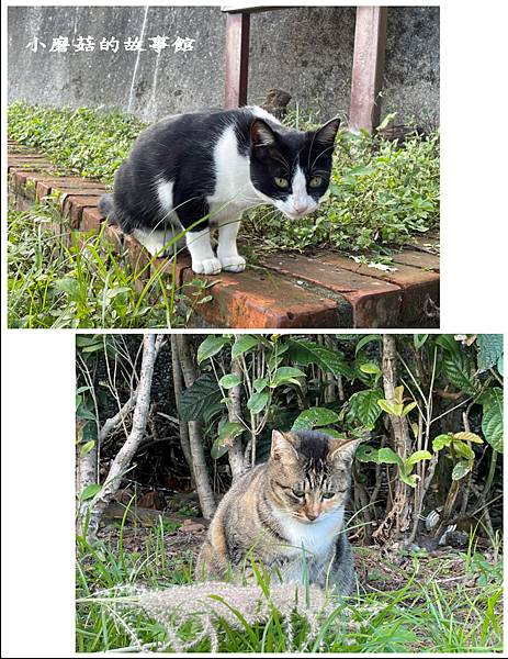 112.11.19.(91)新北瑞芳-三貂嶺山城 + 猴硐貓村.JPG