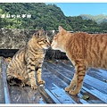 112.11.19.(95)新北瑞芳-三貂嶺山城 + 猴硐貓村.JPG