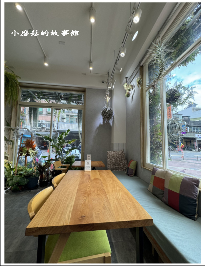 112.12.2.(11)桃園-Vittaria Cafe%26;Books書帶蕨.JPG