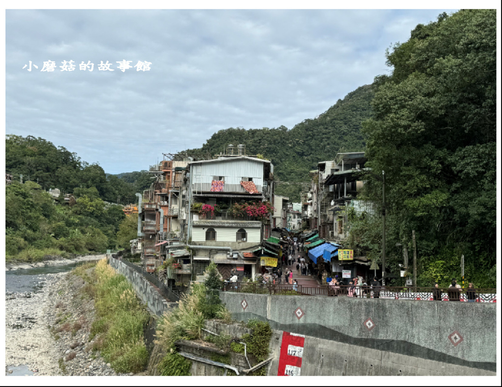 113.1.17.(49)新北烏來-龍門客棧溫泉民宿泡湯之旅.JPG