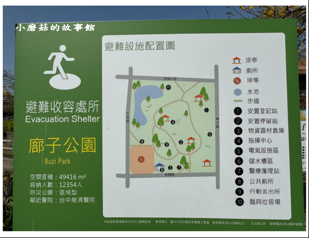 113.2.22.(5)台中北屯-廍子公園(黃花風鈴木).JPG