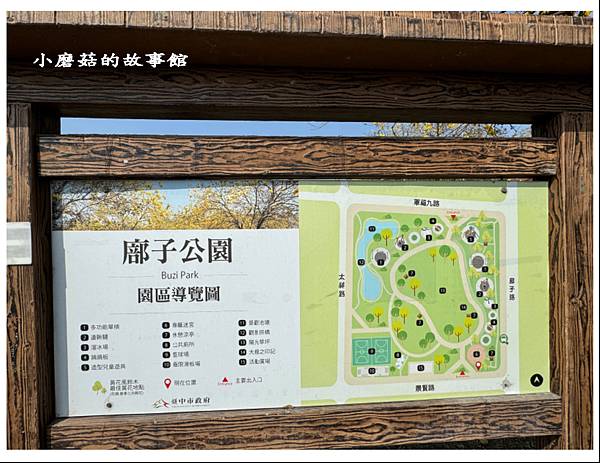 113.2.22.(6)台中北屯-廍子公園(黃花風鈴木).JPG