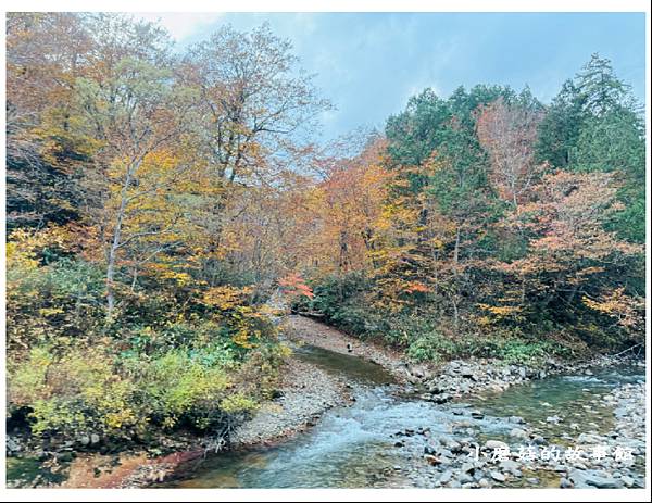 113.10.27.(22)八幡平-楓紅道路.JPG