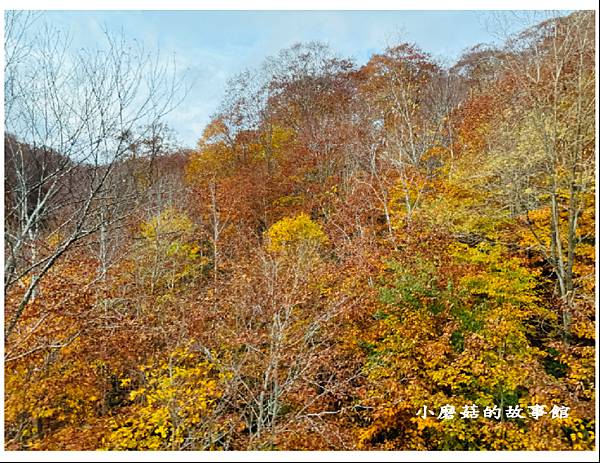 113.10.27.(29)八幡平-楓紅道路.JPG