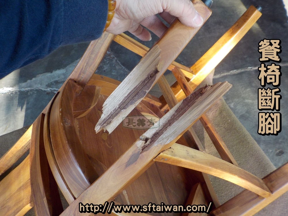 DSCN8615.JPG DSCN8615.JPG