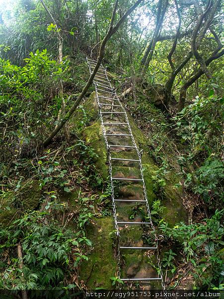 皇帝殿西峰 (10).jpg