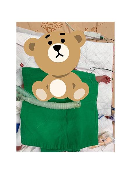 S__53747727.jpg S__53747727.jpg