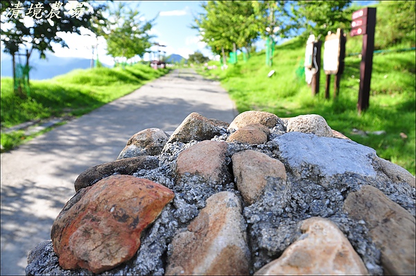 清境&日月潭 014.JPG