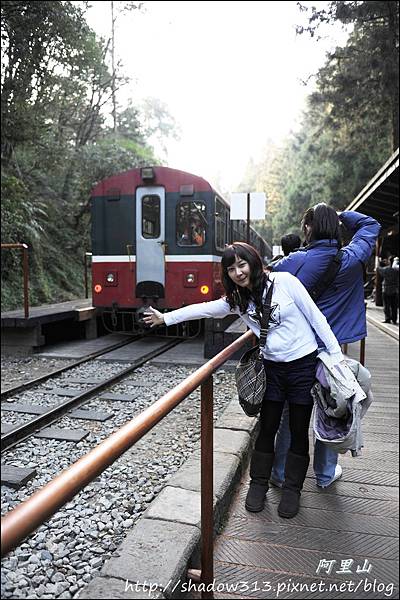 草坪頭&阿里山 380.JPG