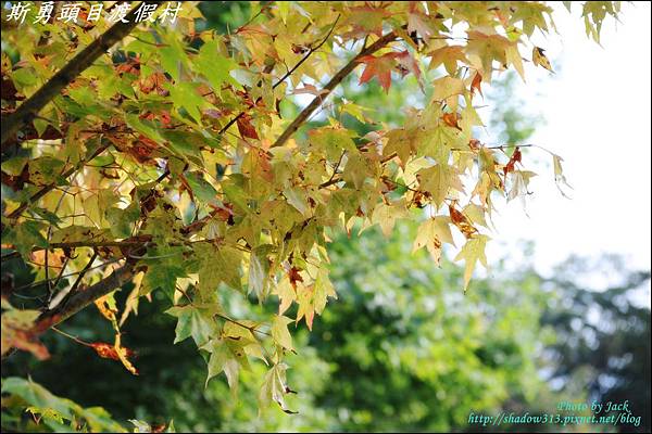 鹿場_斯勇頭目部落 093.JPG