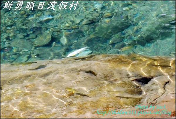 鹿場_斯勇頭目部落 168.JPG