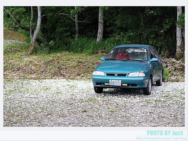 荷苞山客家桐花祭 008