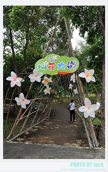 荷苞山客家桐花祭 019