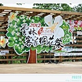 荷苞山客家桐花祭 100