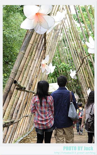 荷苞山客家桐花祭 145