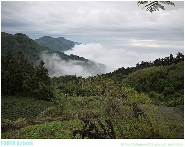 阿里山二日遊 028