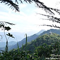 梅嶺登山步道 080.JPG