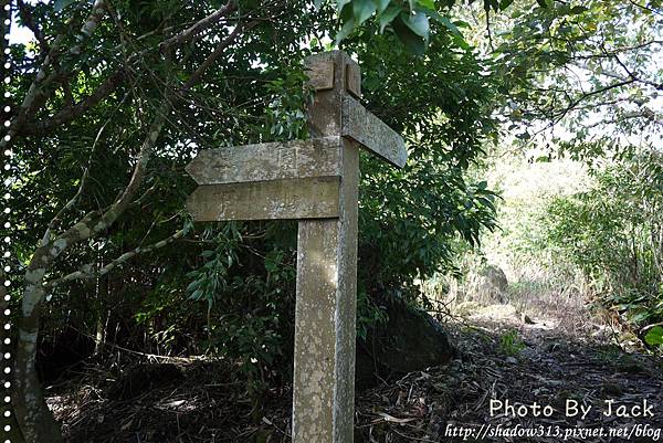 梅嶺登山步道 096.JPG