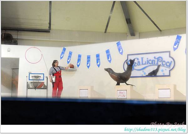 北海道蜜月行 110.JPG