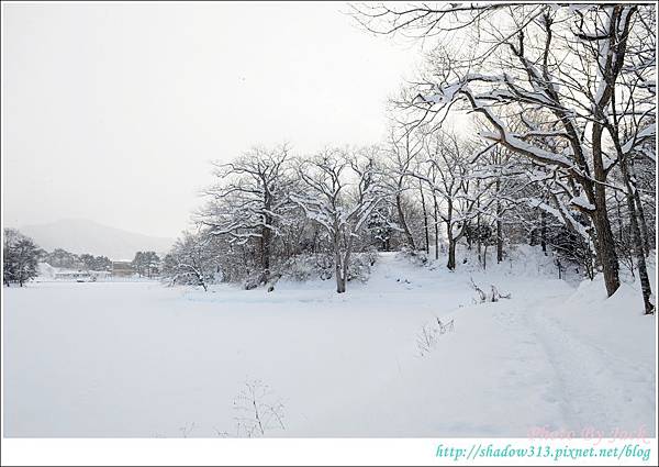 北海道蜜月行_D3 089.JPG