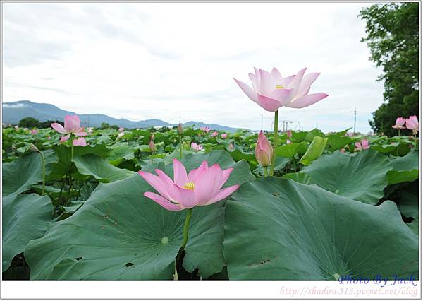 探索台南D700 034.JPG