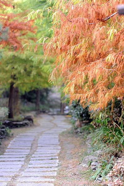 清境二日遊 010.JPG