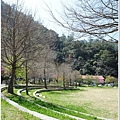 武陵露營去 049.JPG