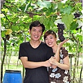 彰化埔心採葡萄 035.JPG