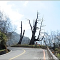 草坪頭&阿里山 183.JPG