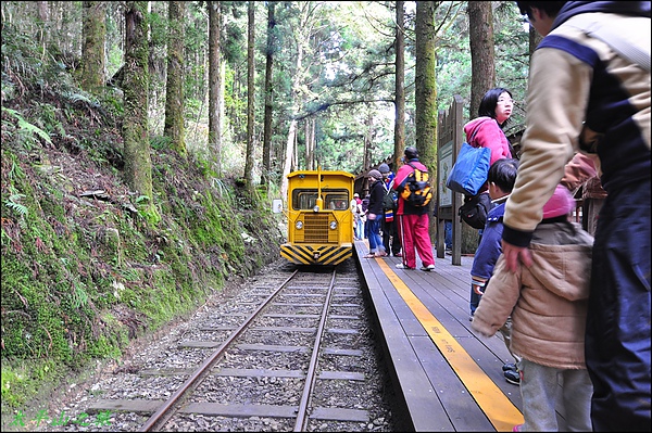 太平山之旅 339.JPG