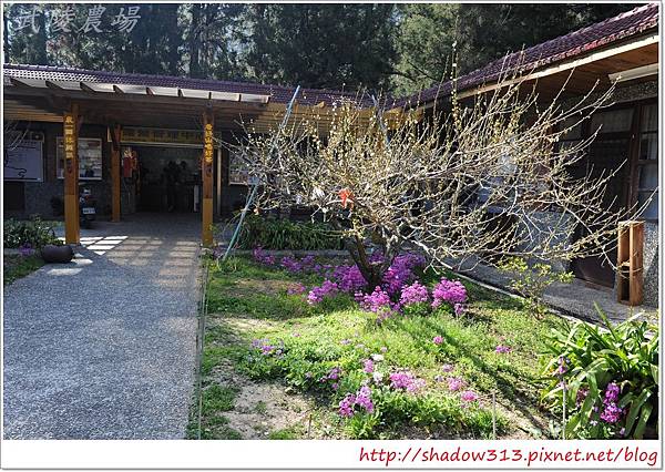 武陵露營去 200.JPG