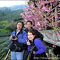 草坪頭&阿里山 105.JPG