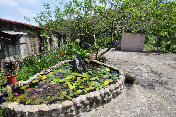 三貂嶺群瀑 100.JPG