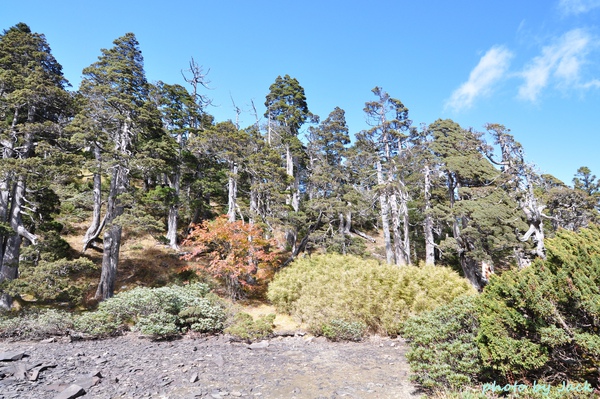 雪山主東峰 332.JPG