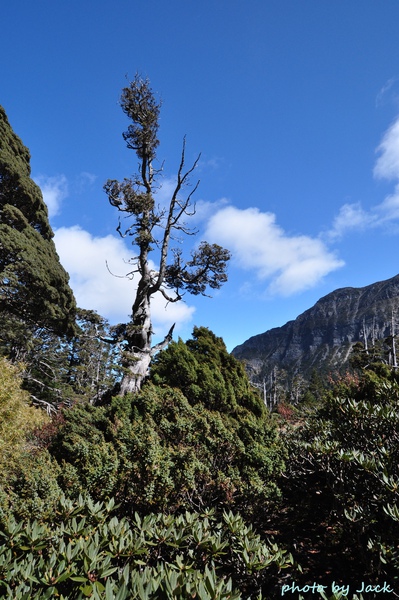 雪山主東峰 351.JPG