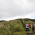 桃源谷&灣坑頭山 066.JPG