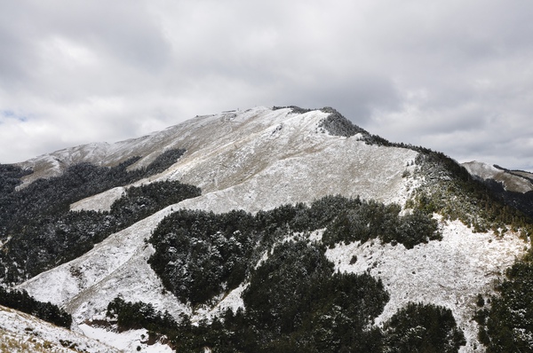 一片雪白