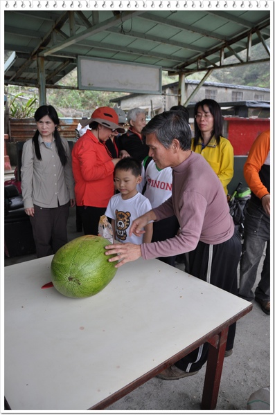 西瓜重現江湖啦 ~~