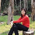 田田