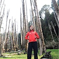 田田