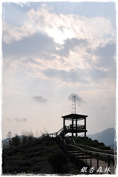 觀景台剪影